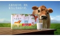 2016年熱門“關鍵詞”排行榜