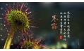 今日寒露 | 裊裊涼風(fēng)動(dòng)，凄凄寒露零