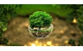 世界地球日︱東方和利?與中國億萬家庭共同守護(hù)藍(lán)色星球