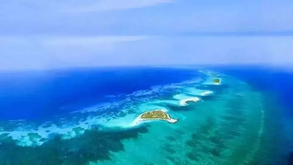 “海南自由港”震撼登場(chǎng)！40個(gè)亮點(diǎn)東方和利帶你一文看懂